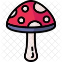 Mushroom Muscaria Fungi Icon
