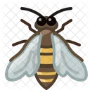 Bee Insect Work Icon