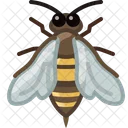 Bee Insect Work Icon