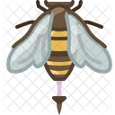 Bee Insect Pang Icon