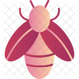 Bee  Icon