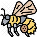 Bee Bumblebee Honey Bee Icon