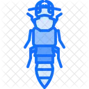 Bee Beetle Bug Icon
