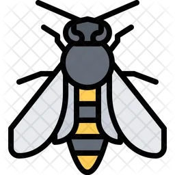 Bee  Icon