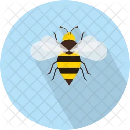 Bee  Icon