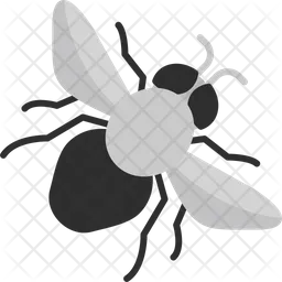 Bee  Icon