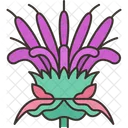 Bee Balm Flower Icon