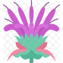 Bee Balm Flower Icon