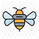 Honey Insect Nature Icon