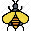 Bee Insect Honey Icon