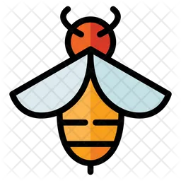 Bee  Icon