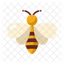 Bee Wild Ecology Icon