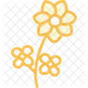 Bee Friendly Flowers Bee Friendly Icon