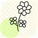 Bee Friendly Flowers Bee Friendly Icon