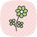Bee Friendly Flowers Bee Friendly Icon