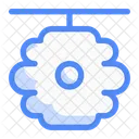 Bee hive  Icon