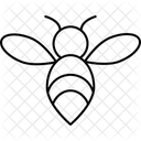Bee  Icon