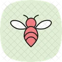 Bee  Icon