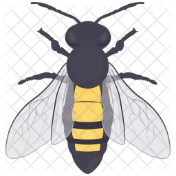 Bee  Icon