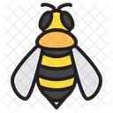 Bee Honey Honeycomb Icon