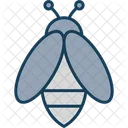 Bee Honey Insect Icon