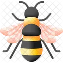 Bee Honey Insect Icon