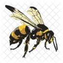 Bee Icon