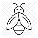 Bee  Icon