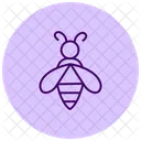 Bee Insect Honey Icon