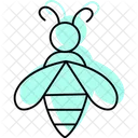 Bee Insect Honey Icon