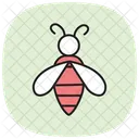 Bee Insect Honey Icon