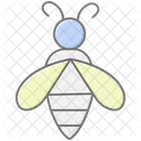 Bee Insect Honey Icon