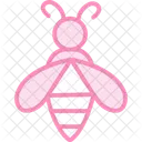 Bee Insect Honey Icon