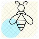 Bee Insect Honey Icon