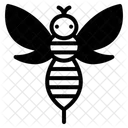 Bee  Icon
