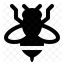 Bee Honey Insect Icon