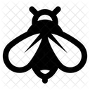 Bee  Icon