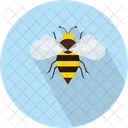 Bee  Icon