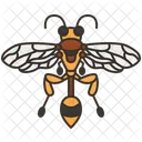Bee  Icône