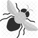 Bee  Icon
