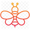 Bee  Icon