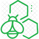 Alternative Medicine Complementary Medicine Integrative Medicine Icon