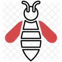 Bee  Icon