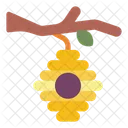 Bee Nest  Icon