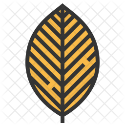 Beech Icon