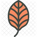 Beech Leaf Nature Icon