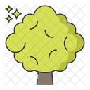 Beech Tree Nature Icon
