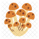 Beech mushroom  Icon