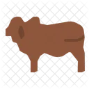 Beef Animal Cow Icon