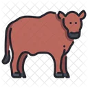 Beef Cow Cow Animal Icon